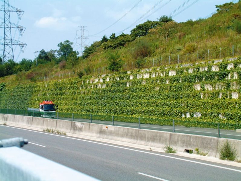 高速道路での緑化タイプの施工例