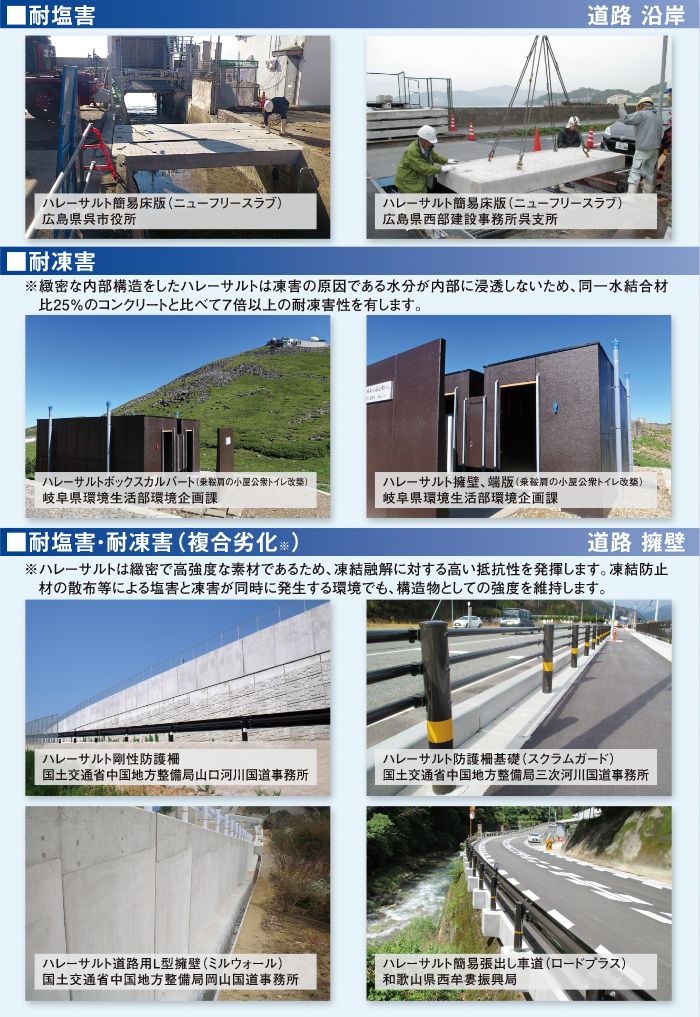 耐塩害　道路 沿岸/耐凍害/耐塩害・耐凍害（複合劣化） 道路 擁壁