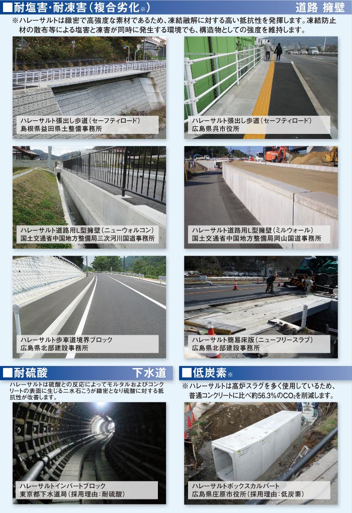 耐塩害・耐凍害（複合劣化） 道路 擁壁/耐硫酸 下水道/低炭素